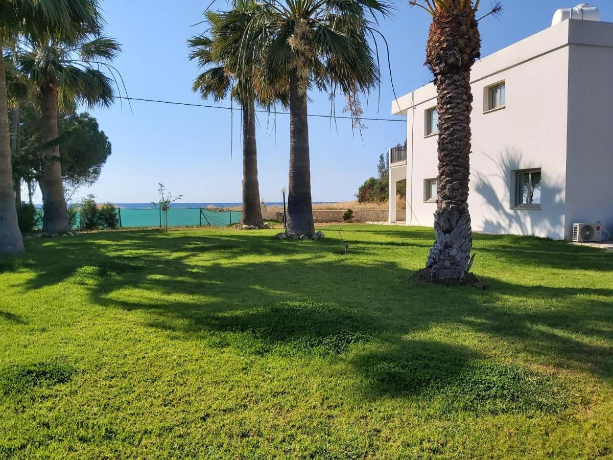 Argaka Palm Tree Apts Eksteriør billede