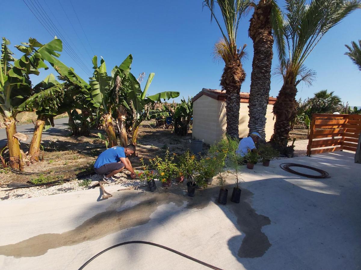 Argaka Palm Tree Apts Eksteriør billede